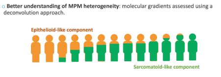 Screen Shot 2018-06-05 at 2.52.15 PM.png